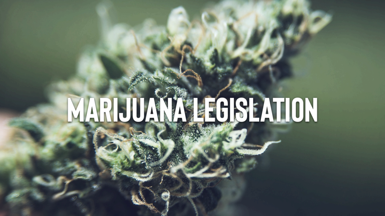 Featured image for “Legislation: H.R. 365: Marijuana 1-to-3 Act of 2021”