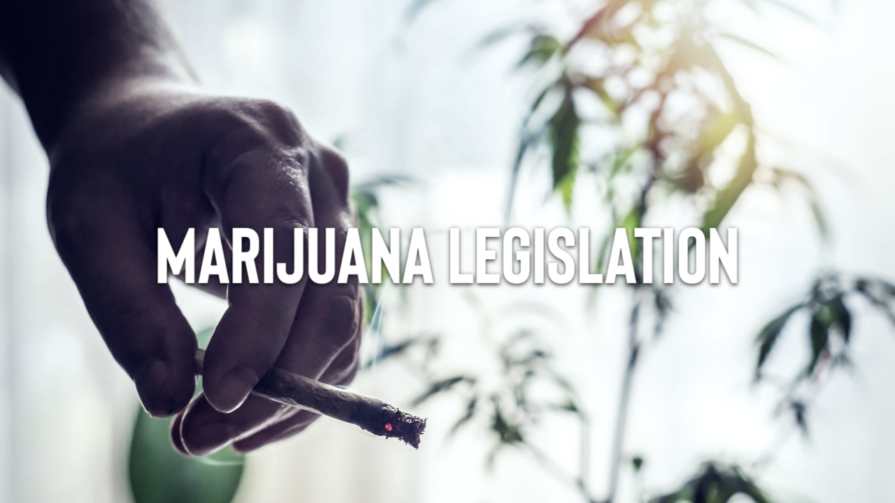 Featured image for “Legislation: H.R. 3797: Medical Marijuana Research Act”