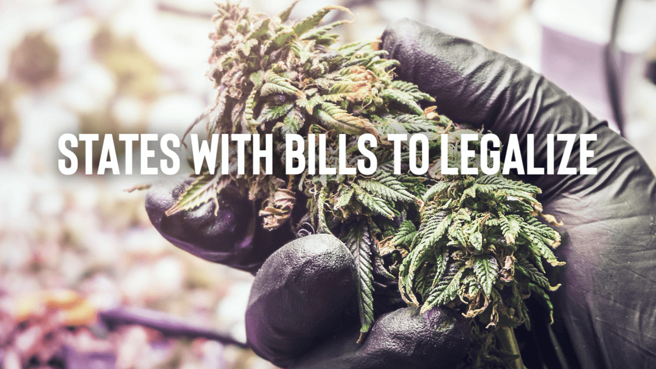 Featured image for “States With Bills to Legalize”