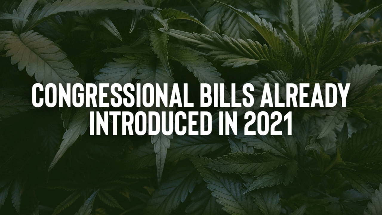 Congressional Bills Already Introduced in 2021 Elevated Canna