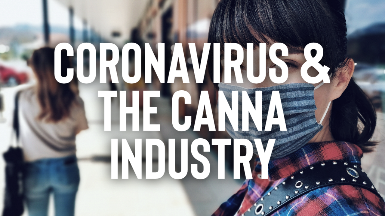 Featured image for “Coronavirus & the Canna Industry”