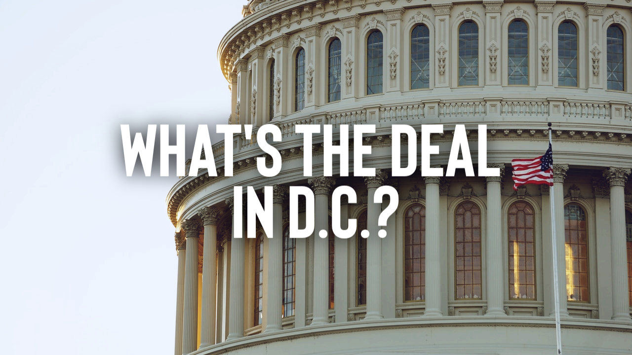 Featured image for “What’s the Deal in D.C.?”