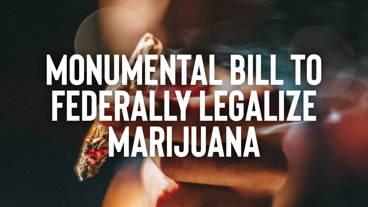 Featured image for “Senate Unveils “Monumental” Bill That Would Federally Legalize Marijuana”