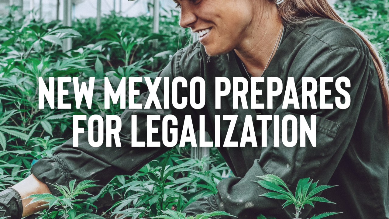 Featured image for “New Mexico Prepares for Legalization”